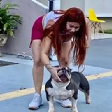 americanbully