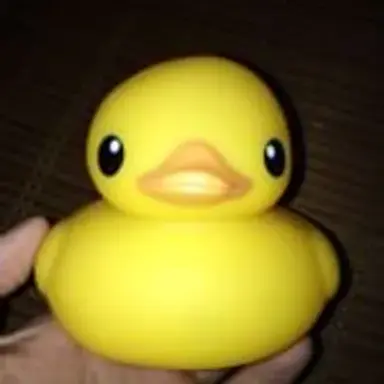 bubberduck