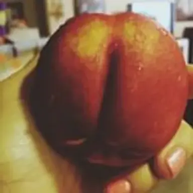 buttfruit