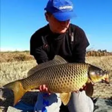 carpfishingitaly