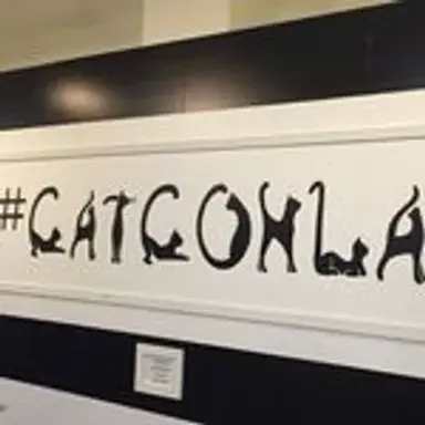 catconla