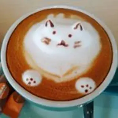 catpuccino