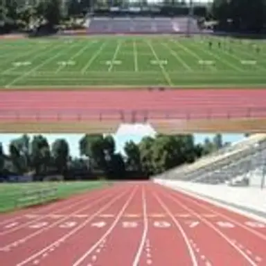 cougarstadium