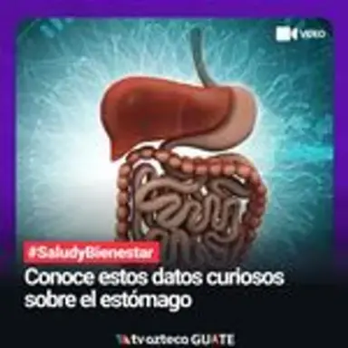 curiosos