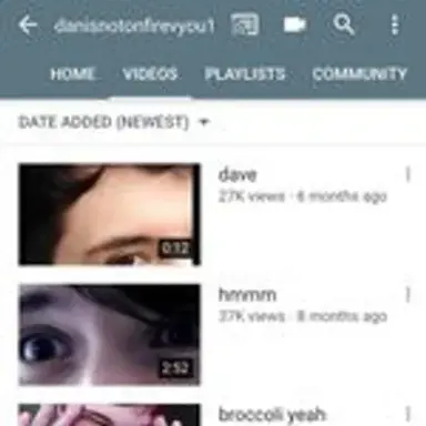 danisnotonfirevyou1