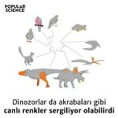 dinozor