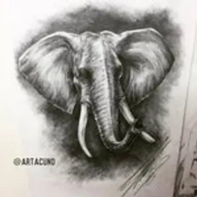 elephanttu