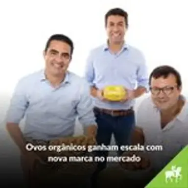 empreendedorismo