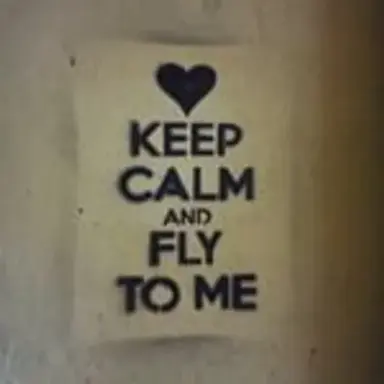 fly_to_me