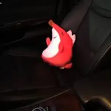 foxmobil