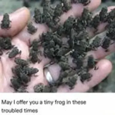 frogies