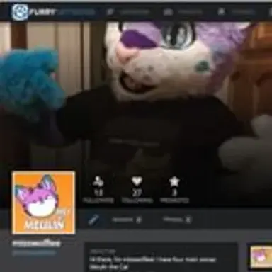 furrynetwork