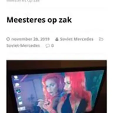 geldmeesteres