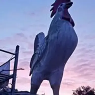 giantcock