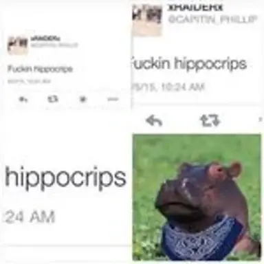 hippocrip