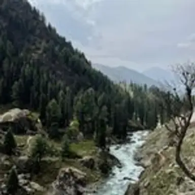 kashmir