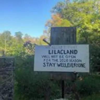 lilacland