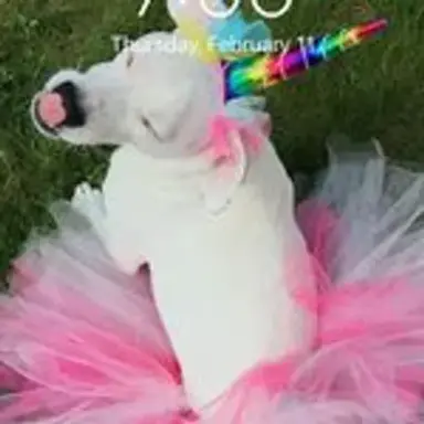 lockscreenchallenge