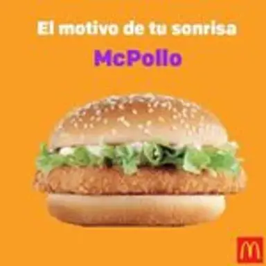 mcpollo