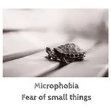 microphobia