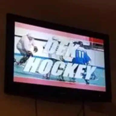 nassausuffolkdekhockey