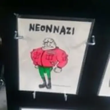 neonnazi