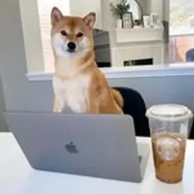 officedog