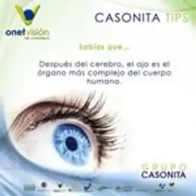 onetvision