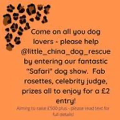 onlinedogshow