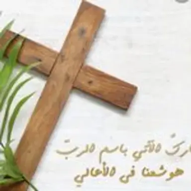 palmsunday