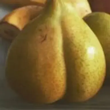 pearbooty