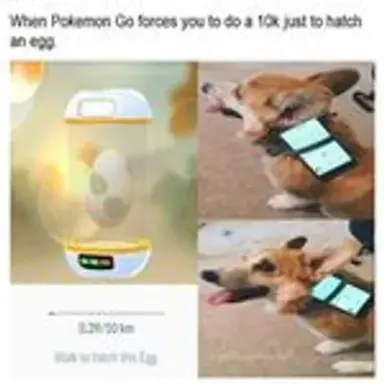 pokehacks