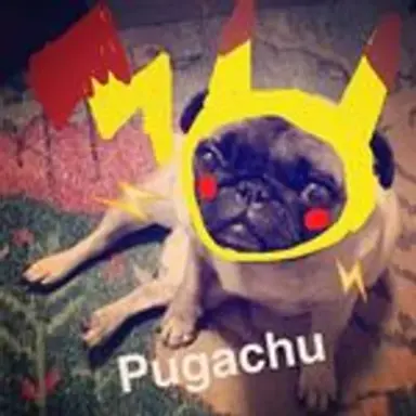 pugachu