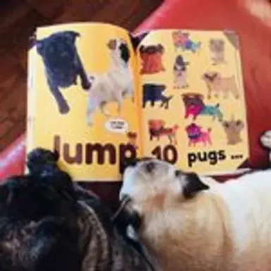 pugbook