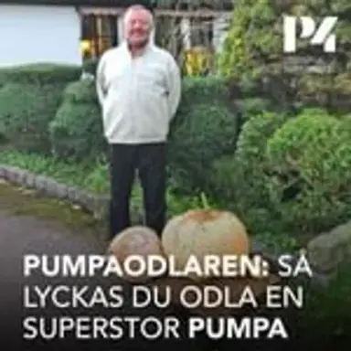 pumpaodling