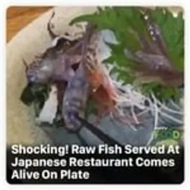 rawfish