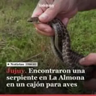 serpiente