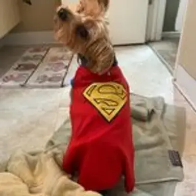 superclark