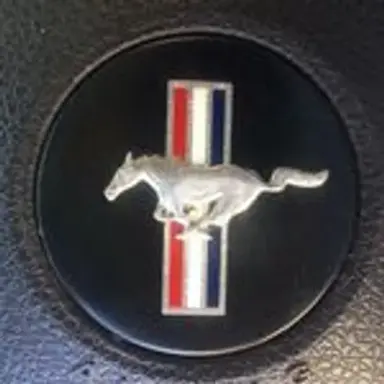 sustang