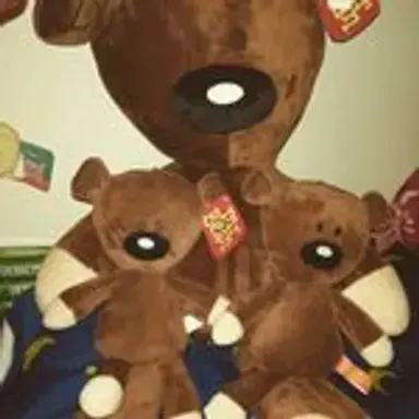 teddyssquad