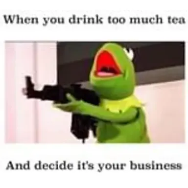 tomuchtea