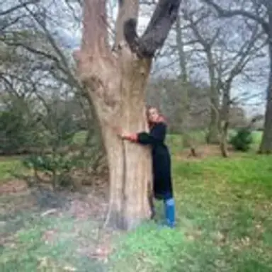 treehug