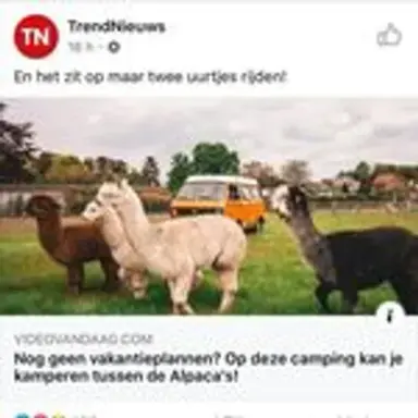 trendnieuws