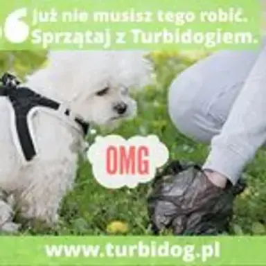 turbidog