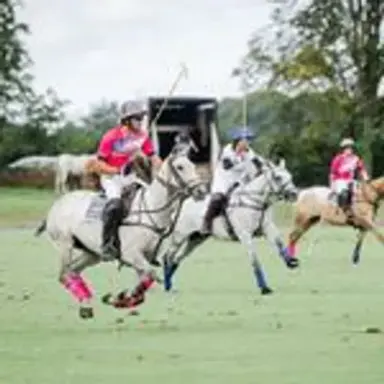 ukpolo