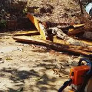 woodcarpenter