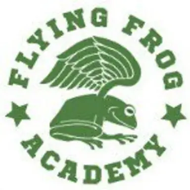 flyingfrogacademy